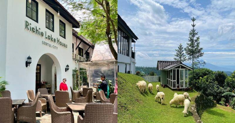 Instagram.com/richiegarden